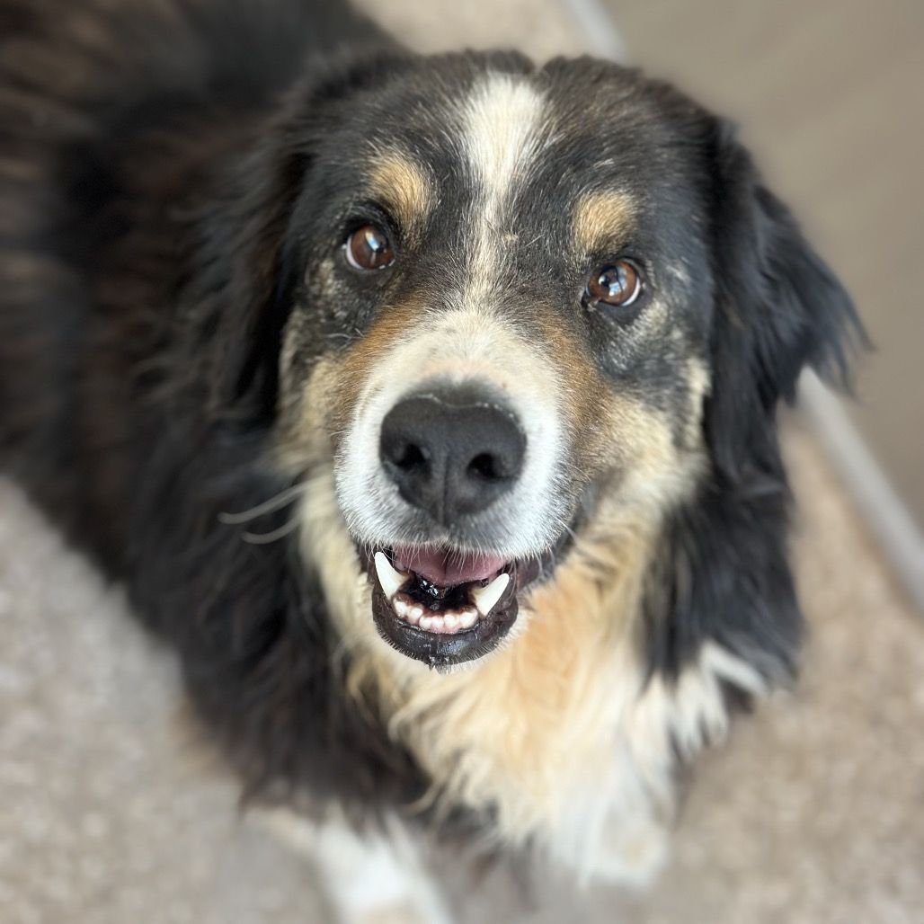 Hello my name is Floppy
