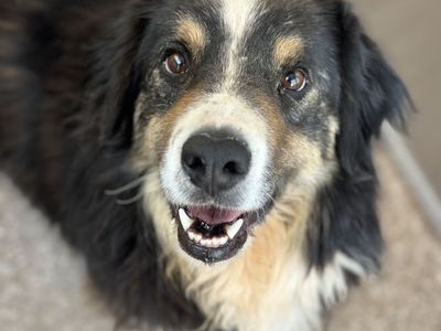 Hello my name is Floppy