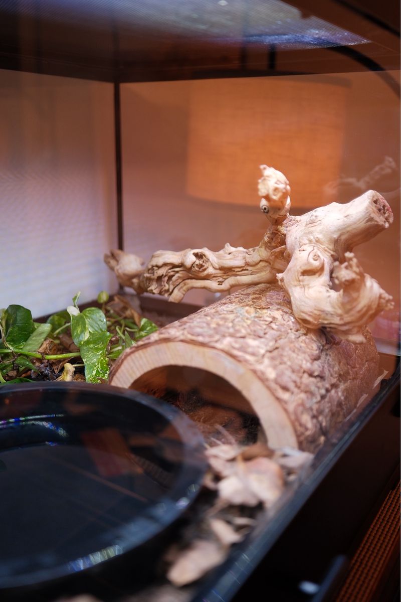 Main image 4