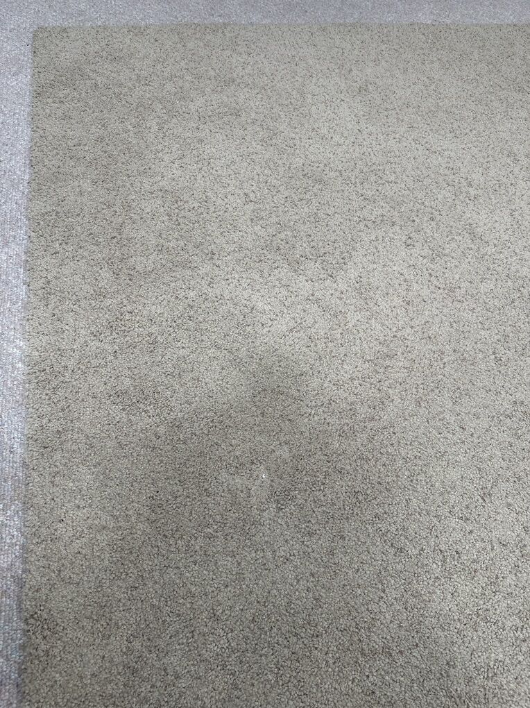 10' X 12' Carpet
