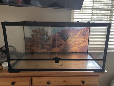 50-Gallon Reptile Terrarium with Accessories – Ready to Use!