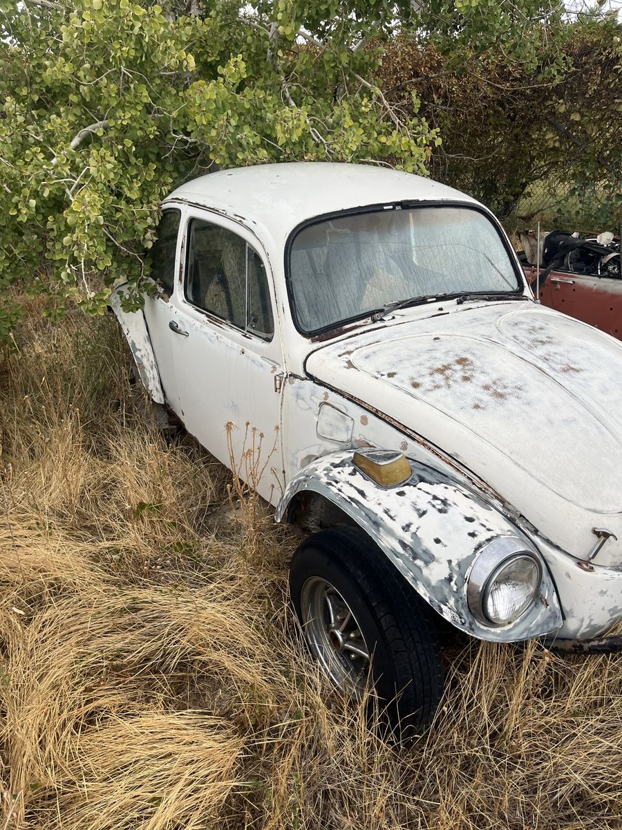 Non running vw bugs