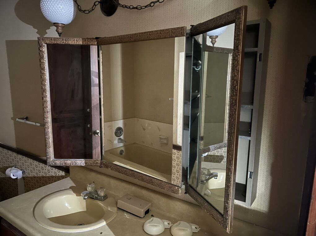 Antique Double Cabinet Mirror