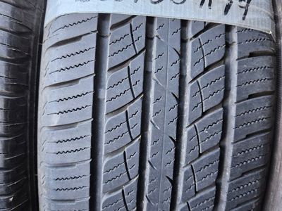 225/55r19 Westlake su318