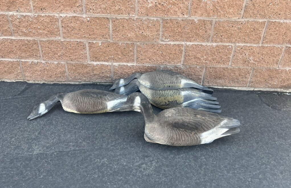 10 Canada Goose Decoy Duck Covers Shell