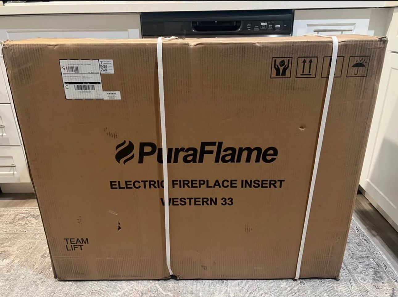 Electric fireplace insert