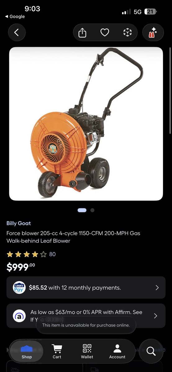 Billy goat F602X blower