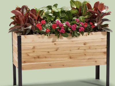 NEW Cedar Planters 18" x 48" Raised Garden Bed - 30" TALL by Earth Elevated Cedar wood Natural