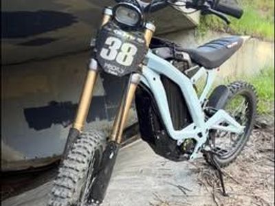 SurRon Light Bee X, 2025