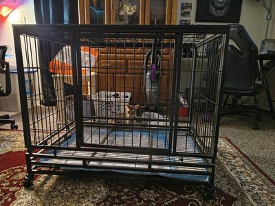 two-door large dog kennel $100
