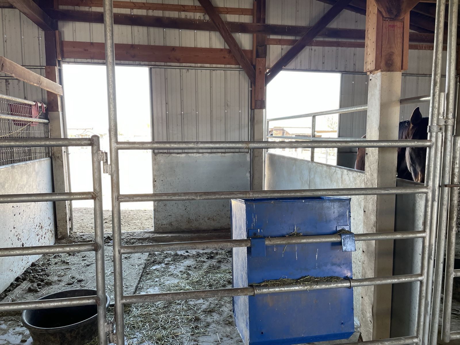 Main image 5