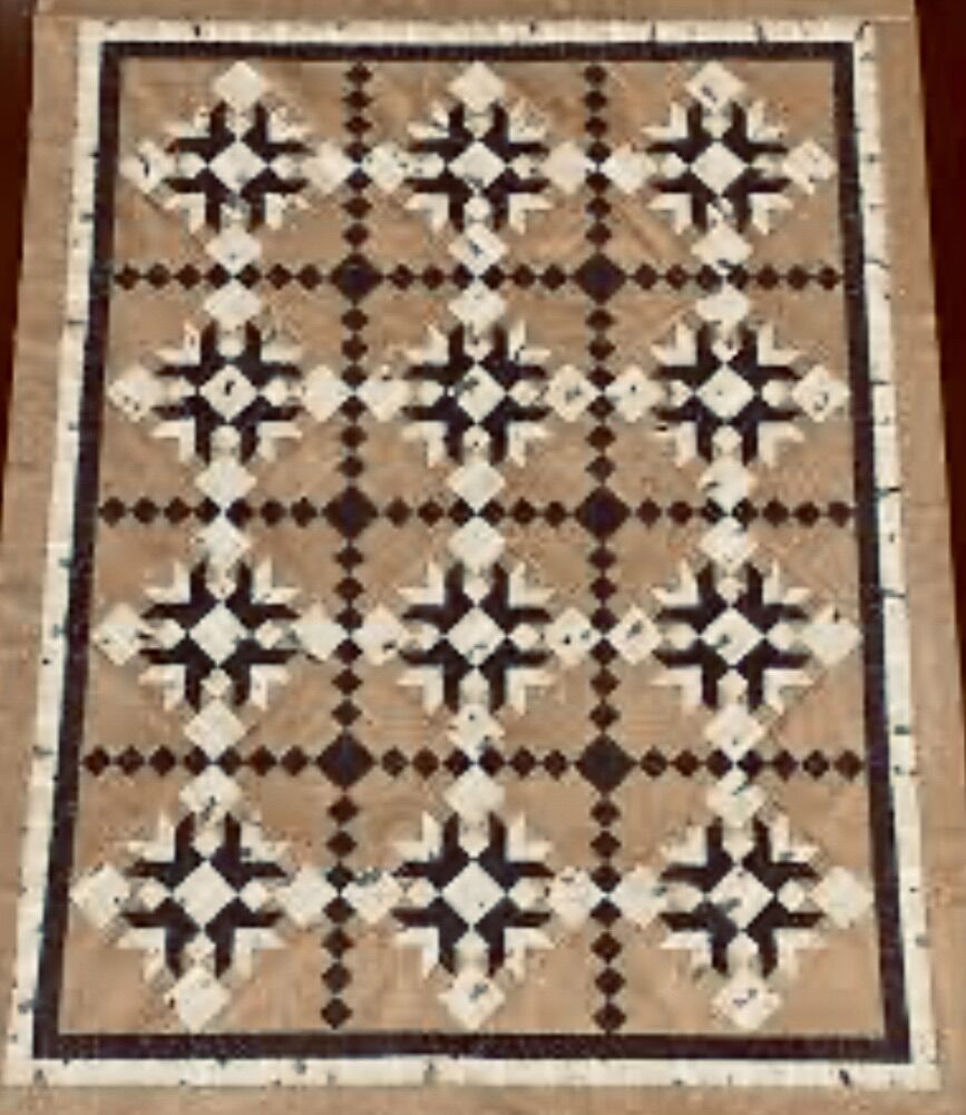 Finish My Quilt! Life's A Trip Quilt Kit