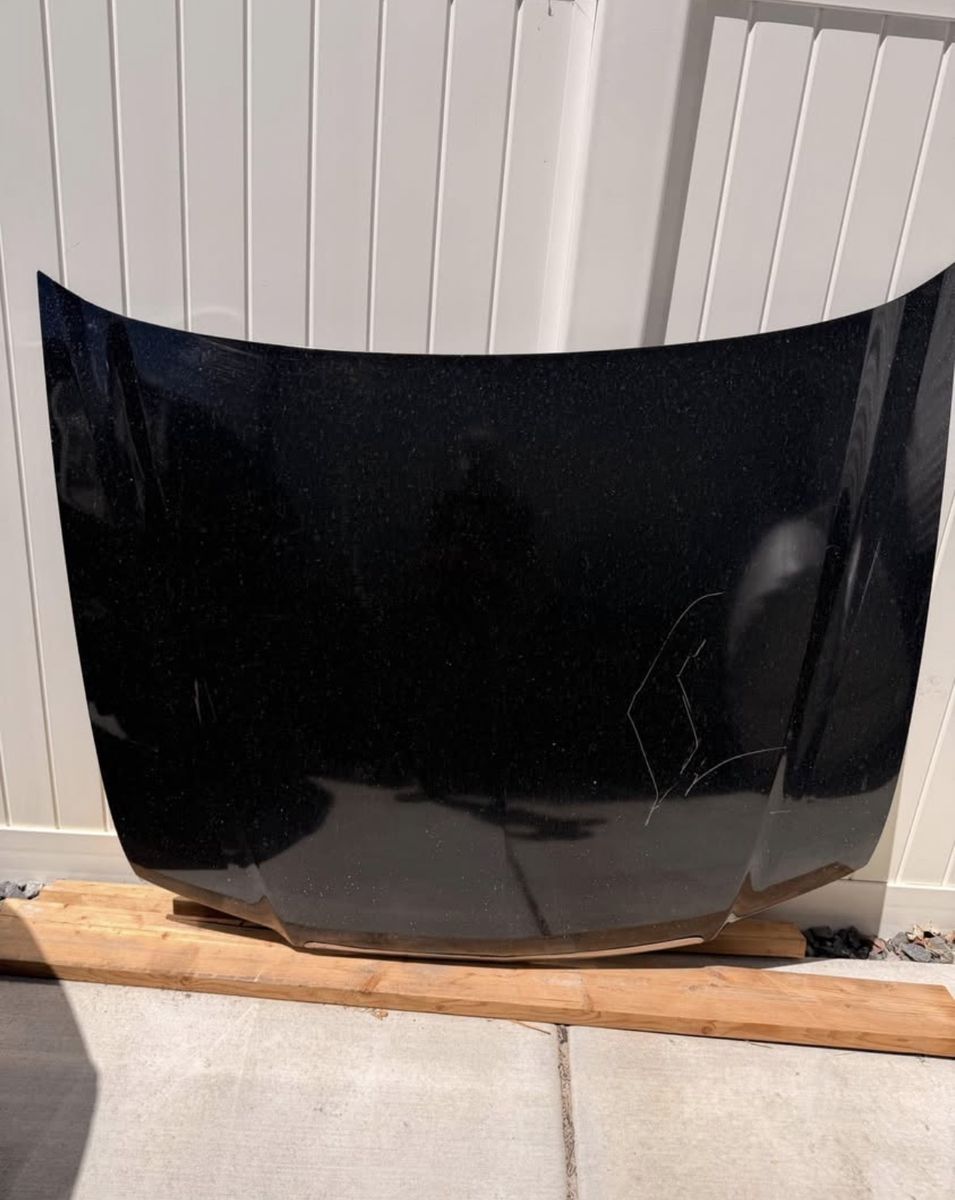 Used 2005 Acura TSX Hood