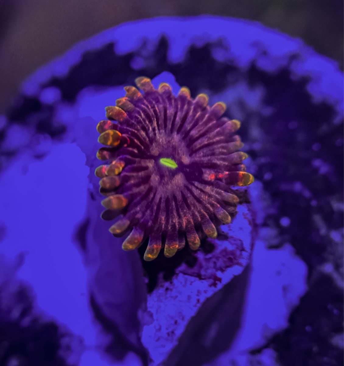 Main image 8