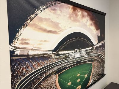 MLB Stadium Wall Mural featuring Rogers Centre (Pottery Barn)