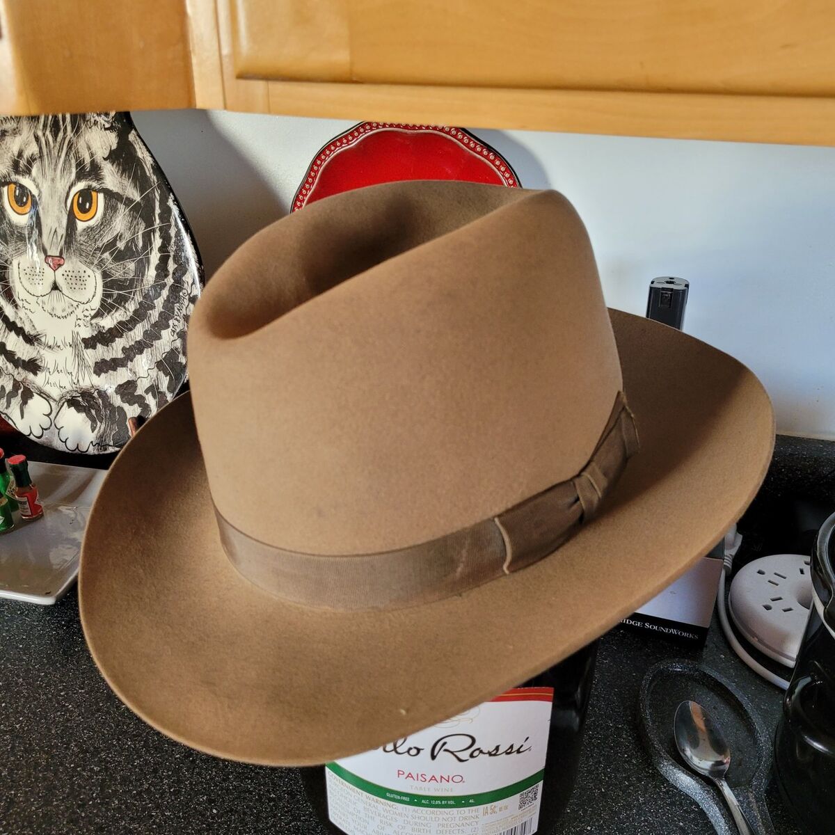 Steson Vintage Western Hat