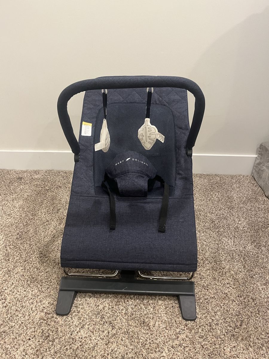 Baby delight alpine deluxe portable bouncer