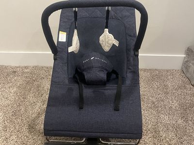 Baby delight alpine deluxe portable bouncer