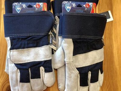 New Insulated Leather Gloves