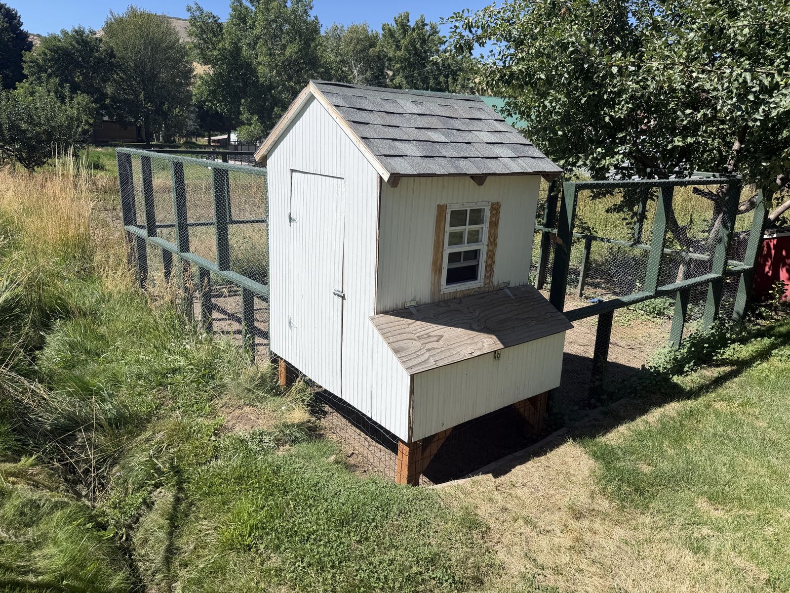 Large Chicken Coop with Fenced Walking Yard - Local Pickup Only