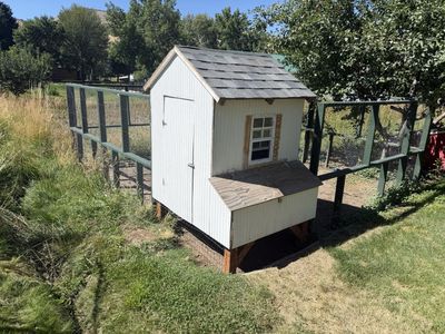 Large Chicken Coop with Fenced Walking Yard - Local Pickup Only
