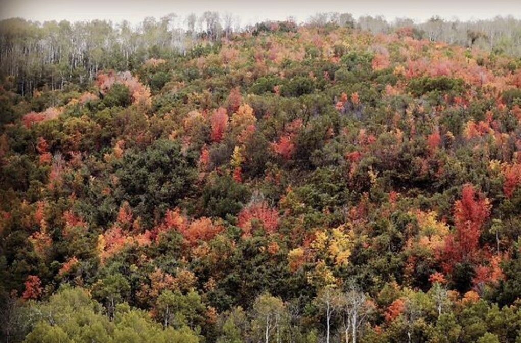 East Canyon Resort Class A Membership