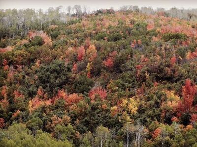 East Canyon Resort Class A Membership