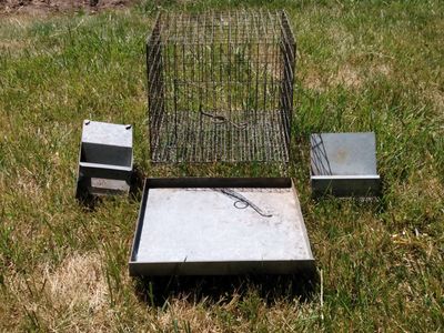 Rabbit or chicken cage with feeders