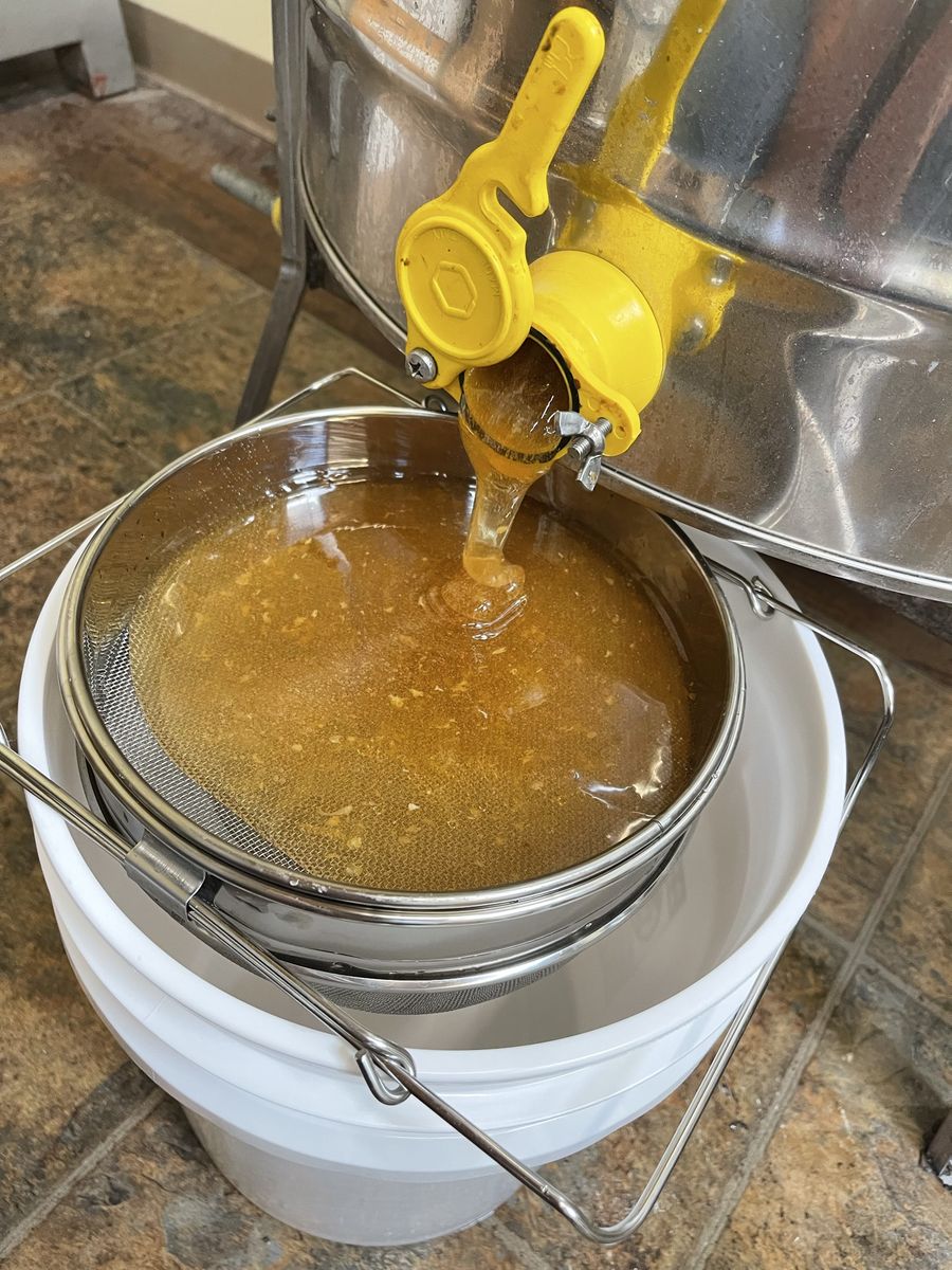 Fresh Raw Honey