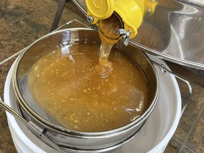 Fresh Raw Honey