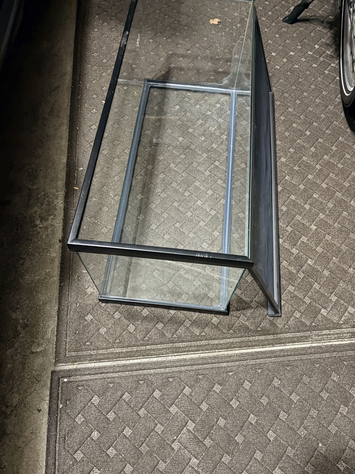 20 Gallon Reptile Tank