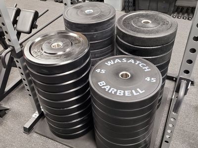 Closeout 45LB Bumper Plates