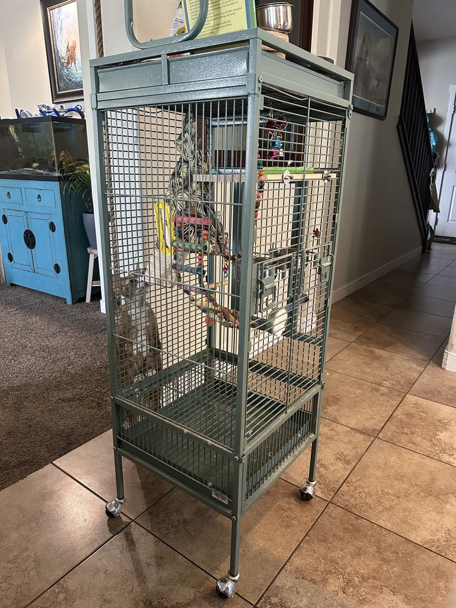 2 large free birdcages