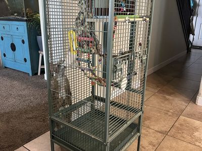 2 large free birdcages
