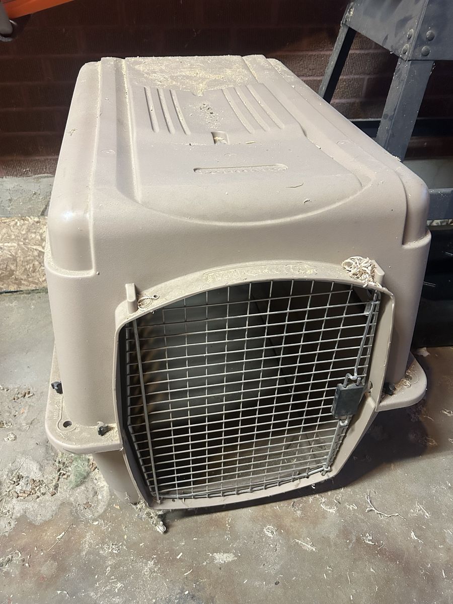 Large Kennel