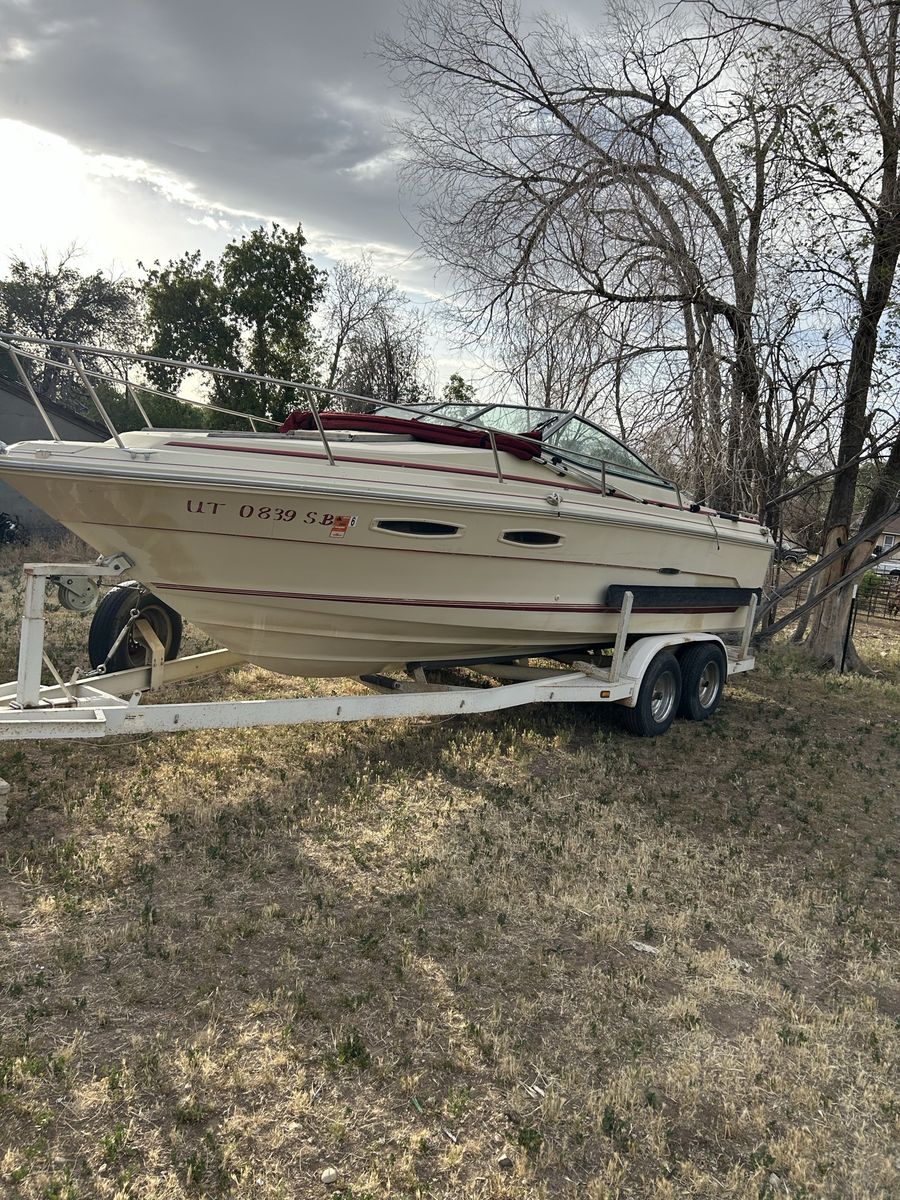 1984 sea ray 