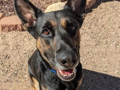 Hello my name is Pharaoh