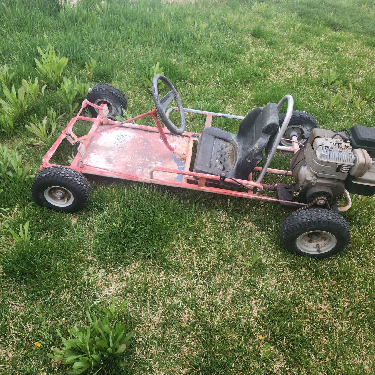 Briggs and Stratton gokart