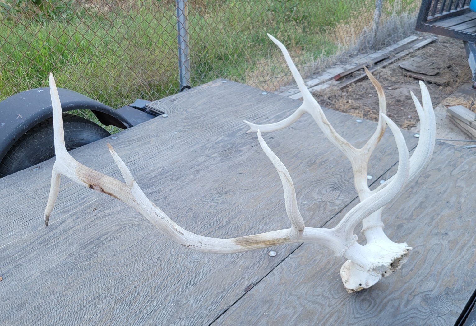 Main image 3