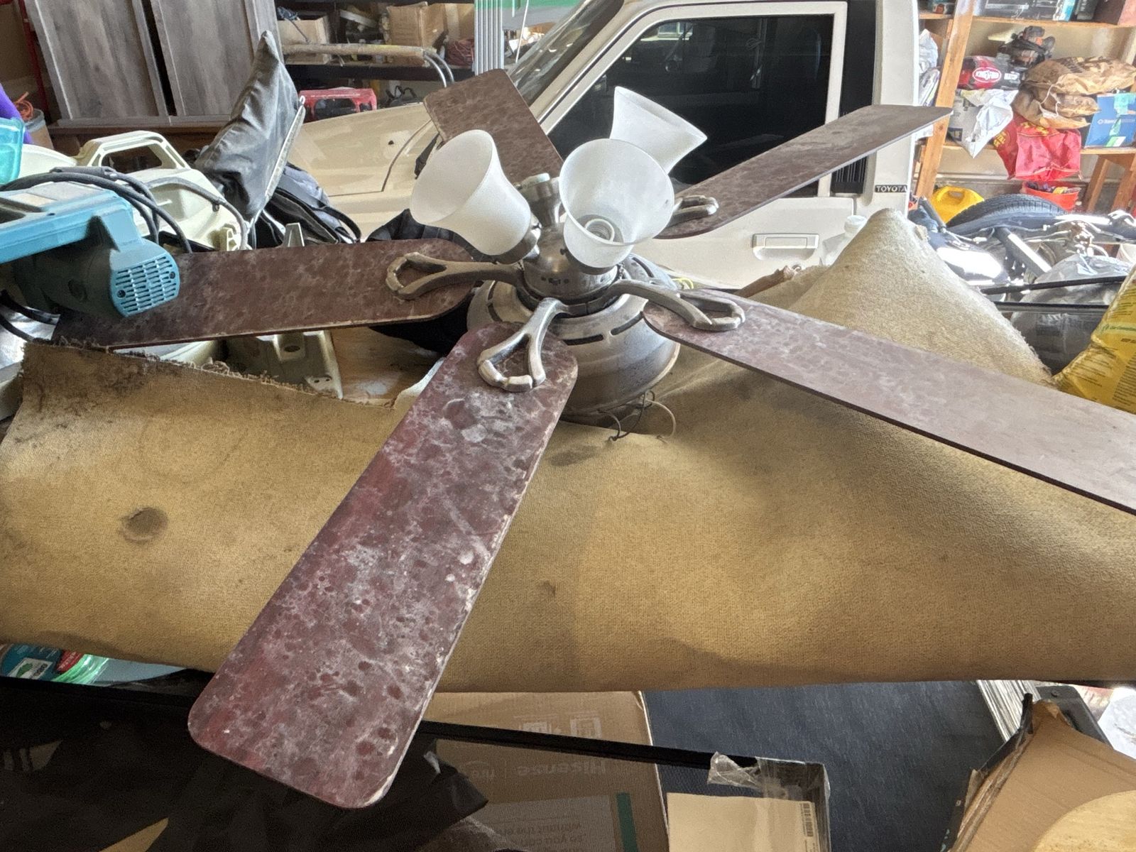 Main image 6