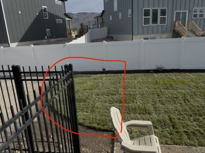 Fresh Cut Grass Sod Strips