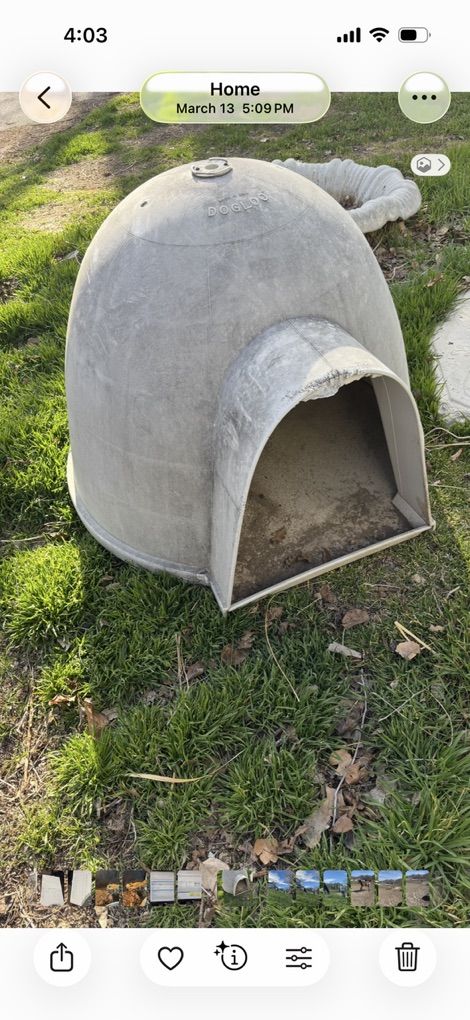 Dog Igloo