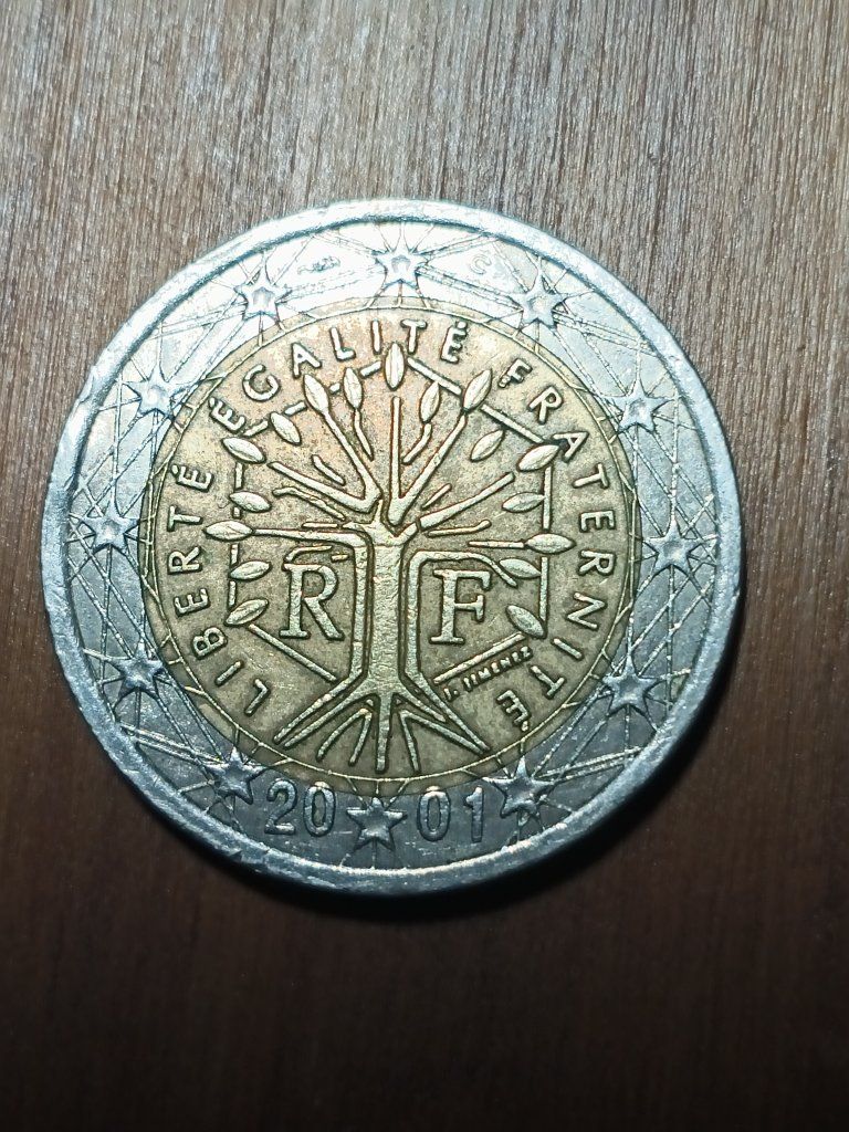 Main image 5