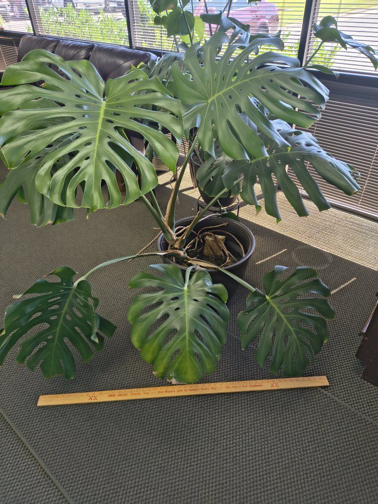 Main image 2