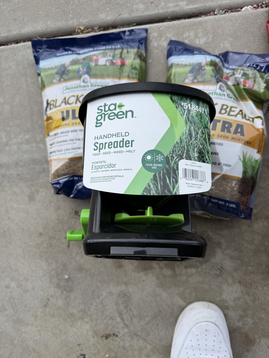 Fall And Spring Grass Seed