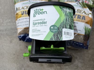 Fall And Spring Grass Seed