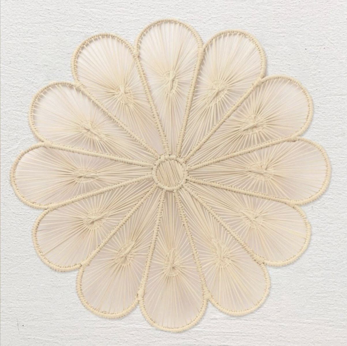 250 Palm Leaf Placemats