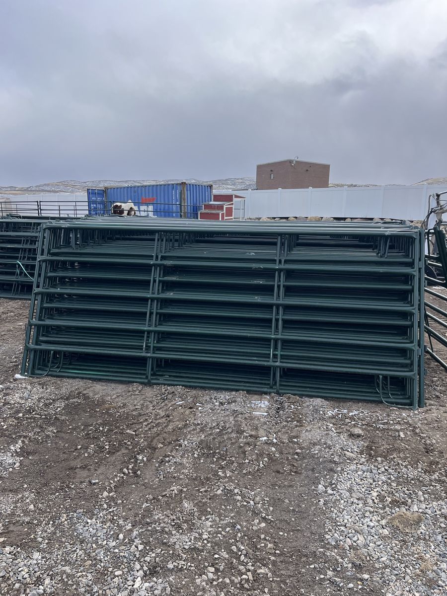 Live stock panels