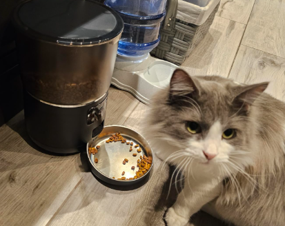 New in box Automatic Cat Feeder with Camera