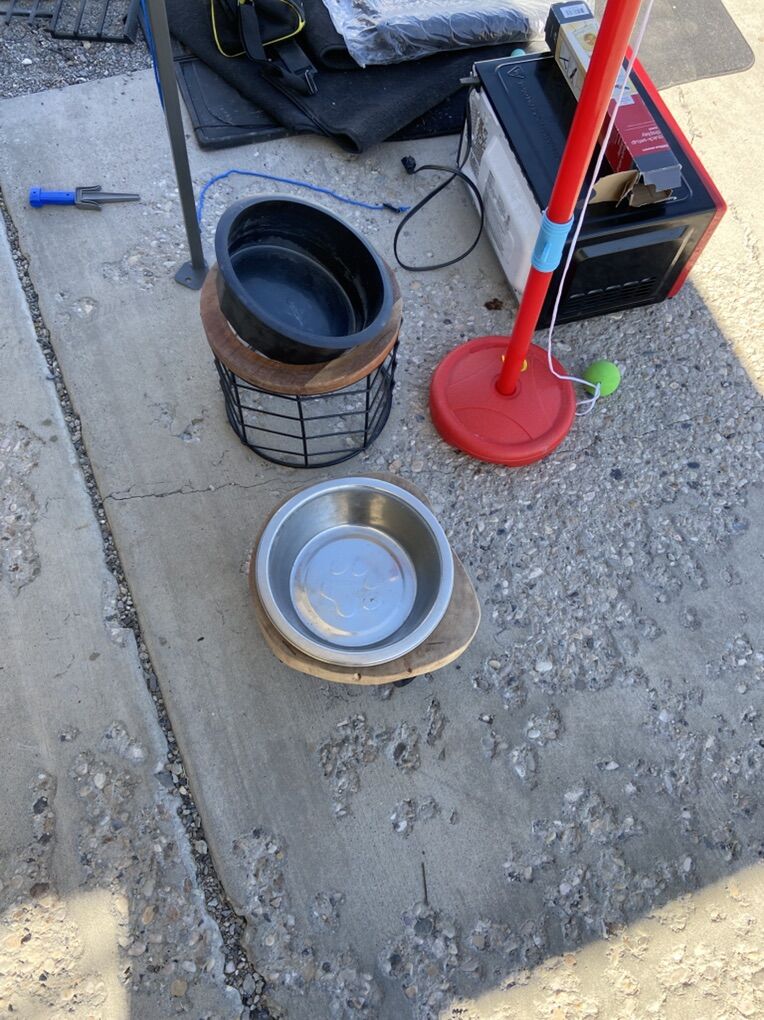 Dog Bowls